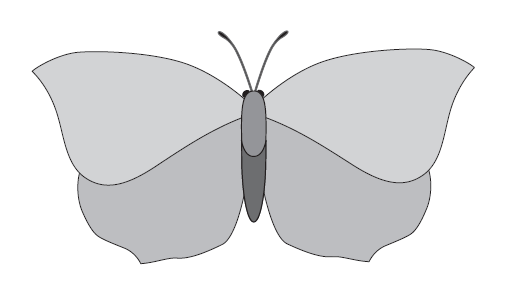 motyl - wzór